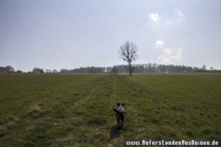 img_3625