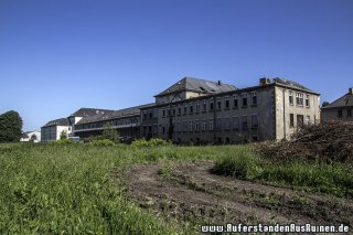 img_8132