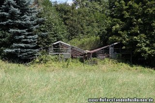 IMG_9032
