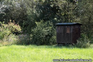 IMG_9156