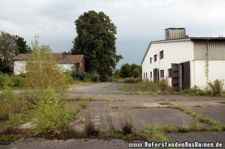 IMG_9627