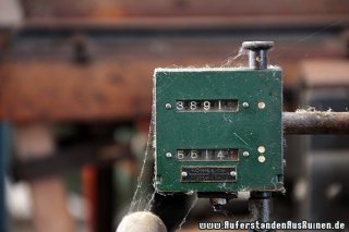 IMG_9959