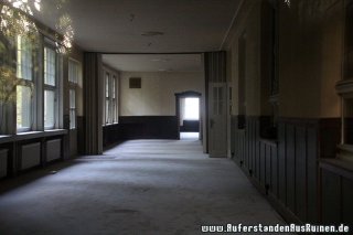 IMG_8319