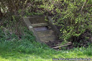 IMG_6621