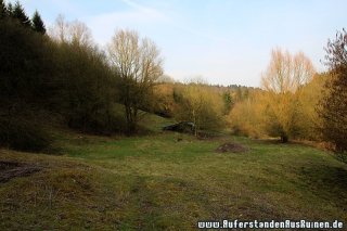 IMG_2445