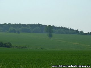 p1070150
