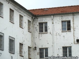 p1150989