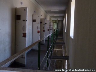 p1190019