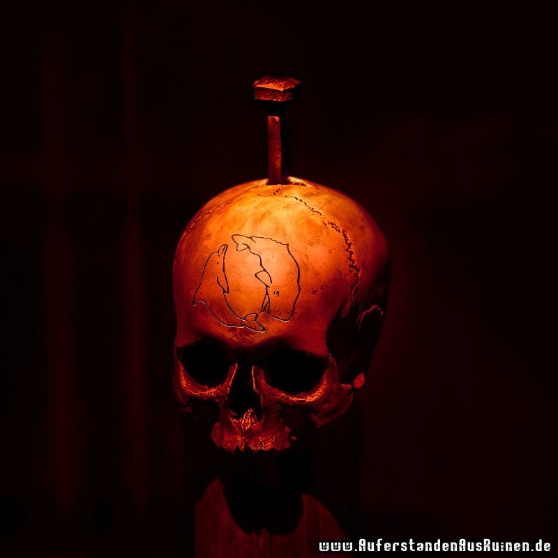 https://www.auferstandenausruinen.de/wp/wp-content/gallery/ubersichtsbilder/aar-skull-seashepherd-neu.png