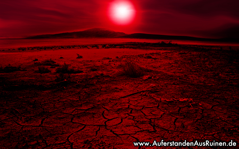 https://www.auferstandenausruinen.de/wp/wp-content/gallery/ubersichtsbilder/hitzepause.jpg